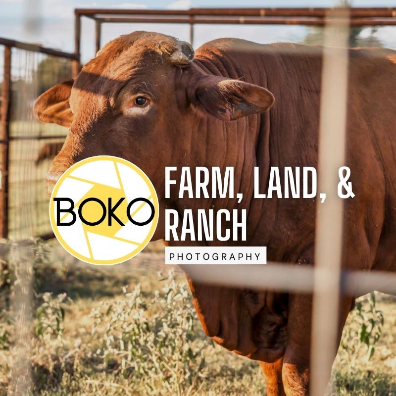 Farm, Land, and Ranch Photography
