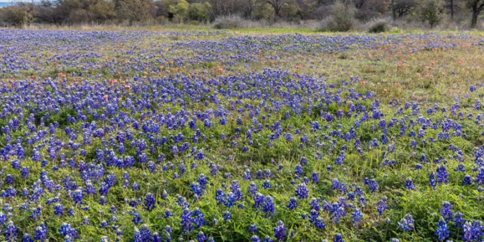 Burnet Real Estate Photography