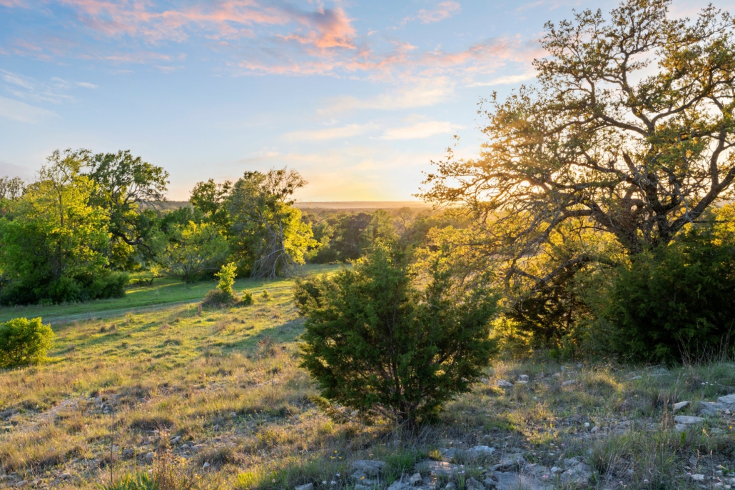 Ranch Photography